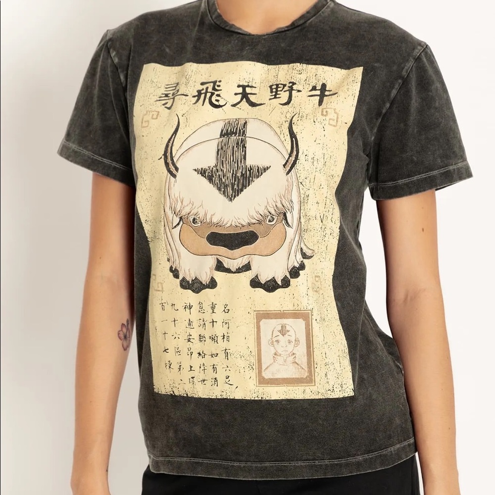LOST APPA POSTER BFT - LIMITED
